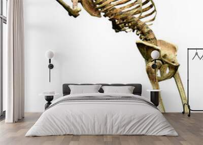 3D Rendering Human Skeleton on White Wall mural