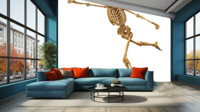 3D Rendering Human Skeleton on White Wall mural