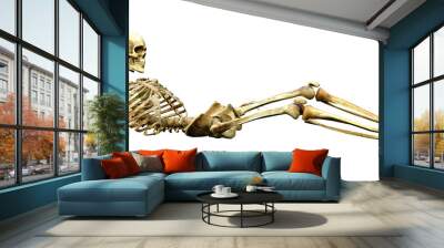 3D Rendering Human Skeleton on White Wall mural