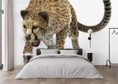 Cheetah Wall mural