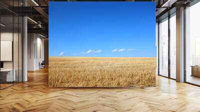 yellow field and sky Wall mural