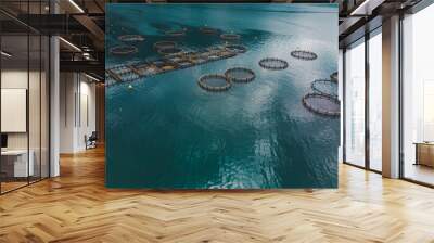 aerial view of fish farm in sea water. summer time Wall mural