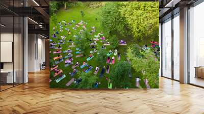 overhead view of people do yoga at city public park Wall mural