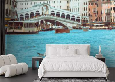 sea gull swimming in grand canal venice Wall mural