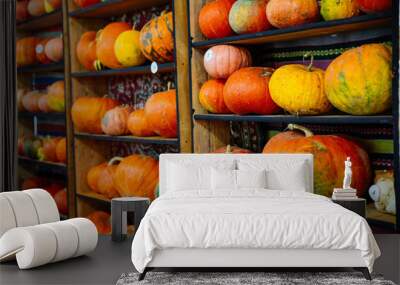 yellow pumpkins on shelf Wall mural