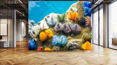 Colorful Christmas tree worms with coral reef and coral Wall mural