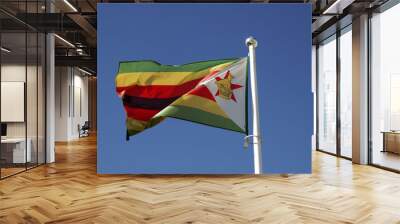 Zimbawe flag Wall mural