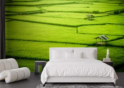 Beautiful green paddy field in thailand Wall mural