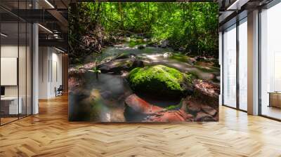 Smooth of water stream in Rainforest of Thaland,Phang nga,Koh Yao Yai Wall mural