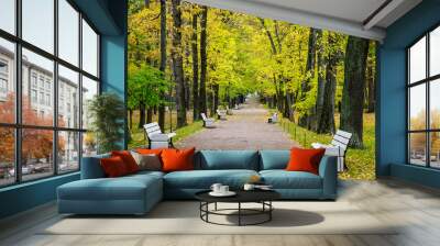 Autumn trees at the park Wall mural