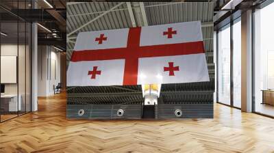 Georgian flag hangs from the ceiling Wall mural