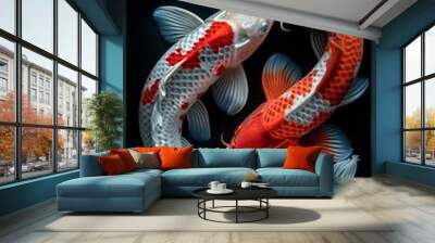 Image of two koi fish swimming side by side in a lake
 Wall mural