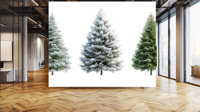 A set of Christmas trees isolated on a transparent background, featuring different sizes and decorations.. Wall mural