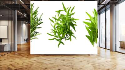 Fresh rosemary and tarragon herbs isolated transparent background Wall mural