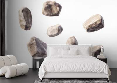 Isolated stones transparent background   rock collection Wall mural