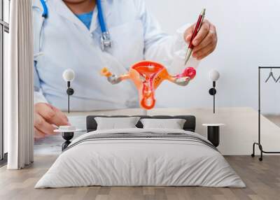 A doctor works at a desk, examining a uterus model to provide medical care and treatment for female reproductive health issues in a gynecology clinic. Wall mural