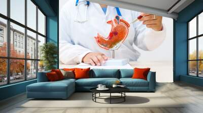 A gastroenterologist uses an anatomical model to explain stomach problems, infections, and treatment options to a patient during a consultation at the clinic. Wall mural