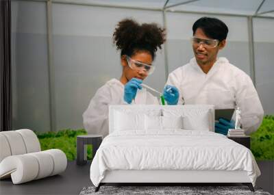 African American Plant Genetic Expert researcher and friends testing quality and bacteria contained in the mixture of water in a closed greenhouse hydroponic vegetable garden Wall mural