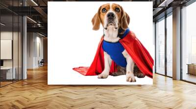 beagle dog Wear a superhero costume on a white background on a white background Wall mural