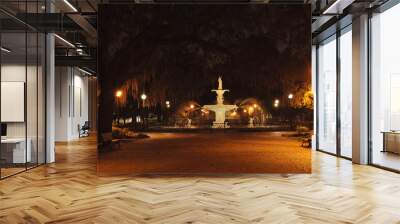 Forsyth Park Fountain Wall mural