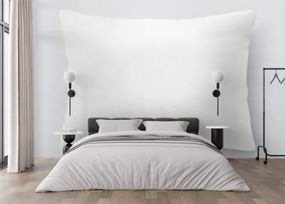 Blank white rectangular pillow / cushion Wall mural