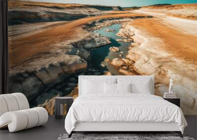 Dried lake and river on summer. Generative AI Wall mural