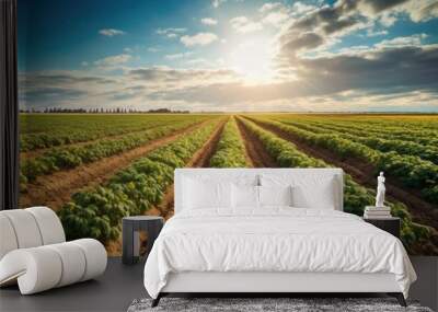 Sunlit green field of potato crops in a row. Generative AI Wall mural