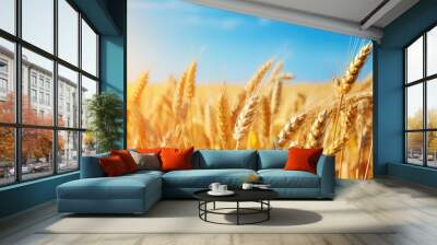 Wheat field. Beautiful rural scenery under shining sunlight and blue sky Wall mural