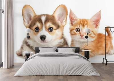 A fluffy brown and white puppy with big, curious blue eyes sits next to a ginger kitten with bright yellow eyes, both looking directly at the camera. Wall mural