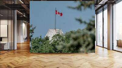 Canadian flag in the wind with green Wall mural