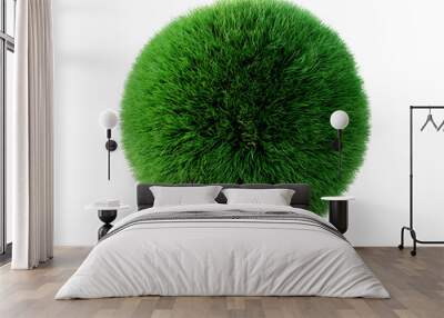 Green sphere shaped grass isolated on white background. 3d rendering Wall mural