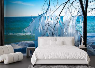 Winter at Lace Michigan, USA Wall mural