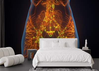 3D illustration of female body lymphatic with brain and circulatory system anatomy. Wall mural