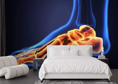 3D illustration of Foot Skeleton - Part of Human Skeleton.
 Wall mural