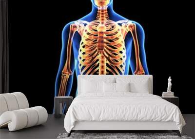 3d illustration of human body skeleton anatomy Wall mural