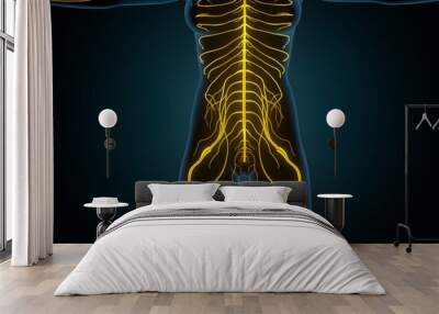 3d illustration of human body veins anatomy Wall mural