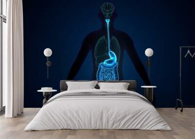 Human Digestive System Anatomy. 3D illustration Wall mural