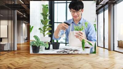 Attractive Young Asian man taking care Water the household plants pots near window, Gardening at Home concept Wall mural