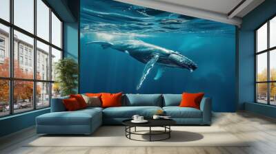 Humpback whale swims underwater. Wall mural