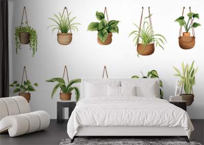 Collection of beautiful plants hanging in various ceramic pots isolated on white background Wall mural