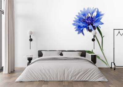 A single blue flower with a stem Wall mural