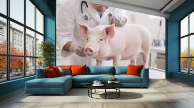 Animal doctor examining pig in hospital Wall mural