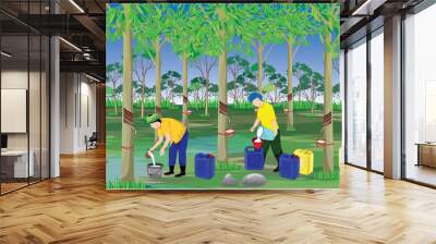 agriculturist harvest water of Hevea brasiliensis tree in garden vector design Wall mural