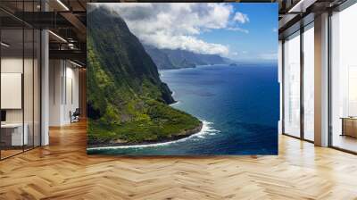 Giant cliffs of molokai Wall mural