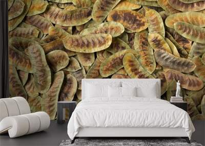 Dried Senna alexandrina pods Wall mural