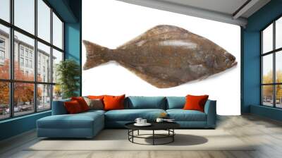 Fresh halibut fish Wall mural