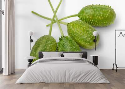 Group of fresh raw whole wild cucumbers close up isolated on white background  Wall mural