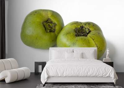 Two fresh black sapote fruit Wall mural