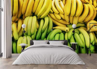 Bananas in boxes Green and ripe yellow bananas are lying in rows on the market Top view photo pattern Wall mural