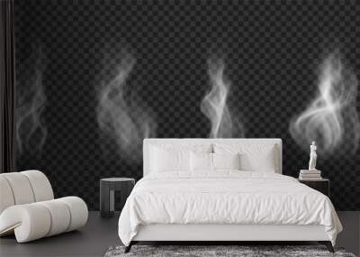 Mist wavy cloud, hot food steam, cigarette vapor. Set of vector icons isolated on transparent backdrop Wall mural